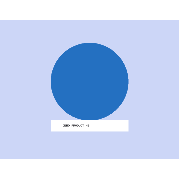 Багажная бирка